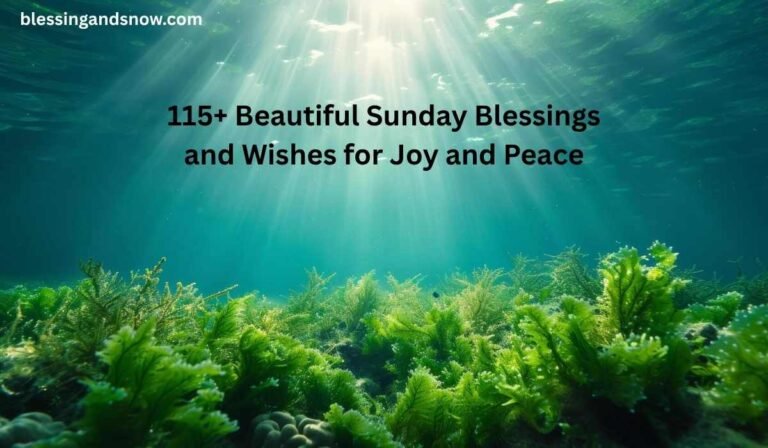 Sunday Blessing
