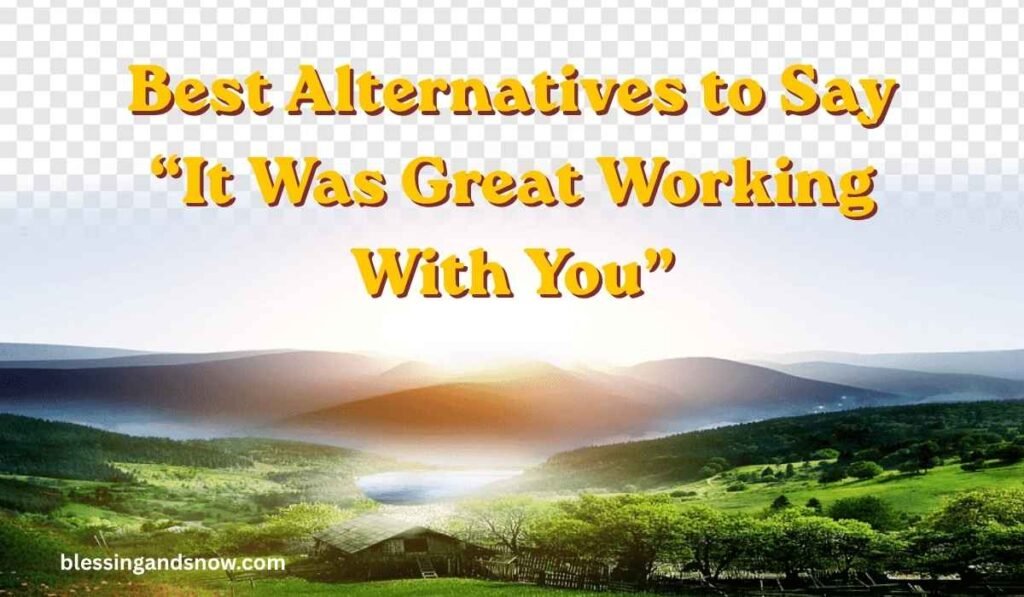Best Alternatives to Say “It Was Great Working With You”